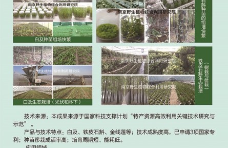 功能性植物種苗工廠化組培快繁、生態(tài)立體種植及高值產(chǎn)品開發(fā)