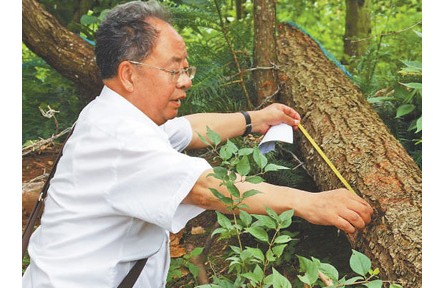 西南林業(yè)大學(xué)教授李鄉(xiāng)旺：扎根云嶺 守護(hù)青山