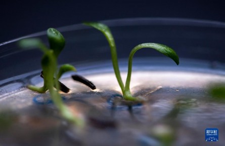 探訪中國西南野生生物種質資源庫