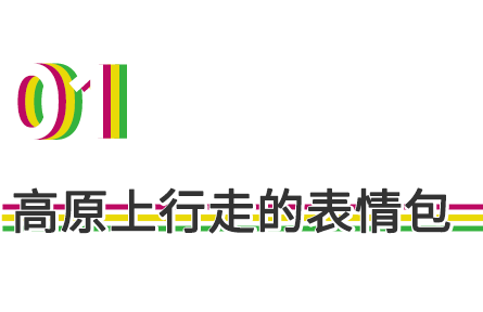 物種故事 | 藏狐：長得與世無爭，眼里卻寫滿了故事