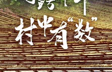 網(wǎng)跨千年，村中有“數(shù)”——“數(shù)字鄉(xiāng)村”賦能西部發(fā)展觀察