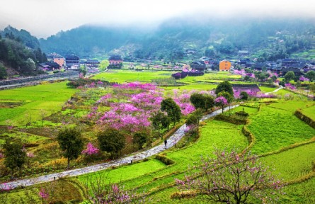 《大美中國·家國清明》湖南