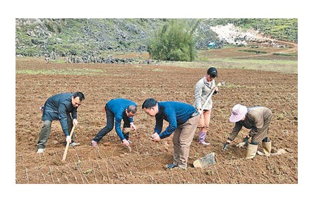 追記廣西靖西湯亮村駐村第一書記張華：“人的一生總要做幾件有意義的事”