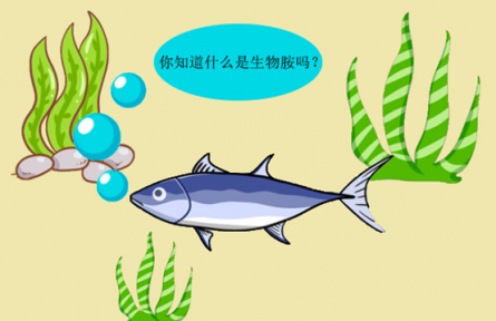 科普 | 生物胺是什么？