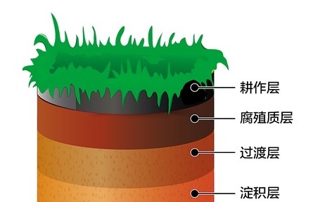 科普 | 黑土地為什么是黑色的？