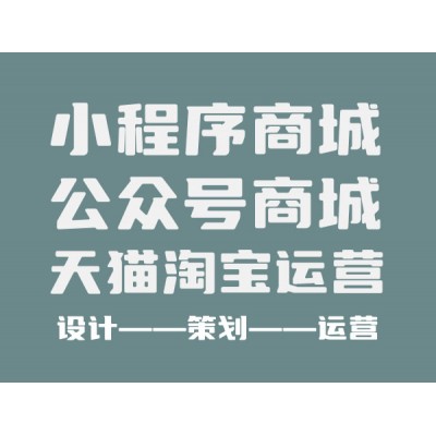 電商平臺(tái)、網(wǎng)站、公眾號(hào)商城搭建