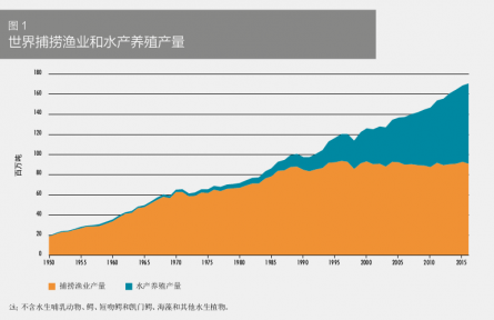 科普 | 在海洋中“放牧”——海洋如何變糧倉(cāng)？