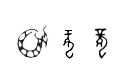 咬文嚼字 |“龍”，你到底是什么？