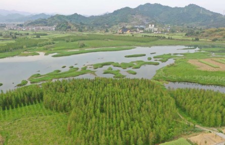 浙江杭州：面向共同富裕的鄉(xiāng)村規(guī)劃實踐