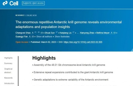 科學家完成南極磷蝦基因組圖譜破譯