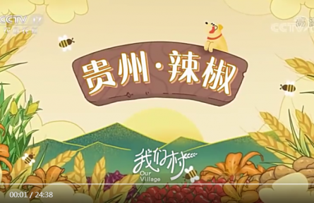 《我們村》第3集：貴州 · 辣椒 / 河南 · 小麥