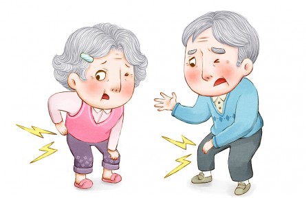 科技名詞 | 骨質(zhì)疏松  osteoporosis，OP