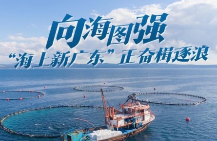 向海圖強(qiáng)！“海上新廣東”正奮楫逐浪