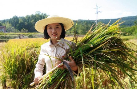 中國(guó)青年五四獎(jiǎng)?wù)隆鲍@得者鄧小燕：“燕兒”歸來稻更香