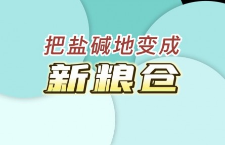 國家鹽堿地綜合利用技術創(chuàng)新中心：把鹽堿地變成“新糧倉”