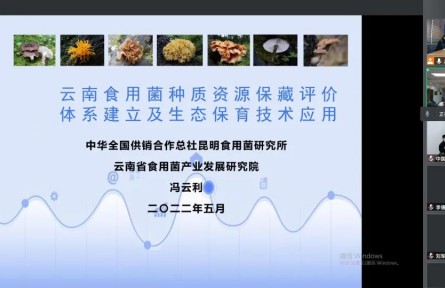 中華全國供銷合作總社昆明食用菌研究所“云南食用菌種質資源收集保存、鑒定評價和生態(tài)促繁技術應用”成果評價公告【2022（47號）】