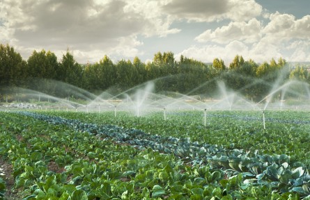 科技名詞 | 灌水技術(shù) irrigation technique