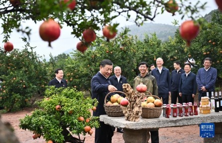 習近平在浙江考察時強調(diào) 始終干在實處走在前列勇立潮頭 奮力譜寫中國式現(xiàn)代化浙江新篇章 返京途中在山東棗莊考察