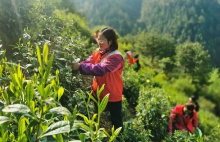 “全國三八紅旗手”江紫霞：多為群眾辦實事，心里踏實