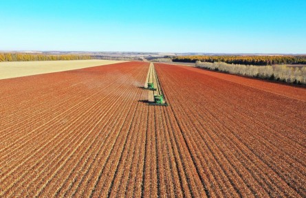 北大荒集團秋收生產告捷 預計糧食總產超450億斤