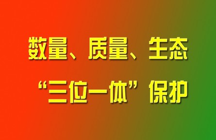 習(xí)近平論強(qiáng)化耕地?cái)?shù)量、質(zhì)量、生態(tài)“三位一體”保護(hù)