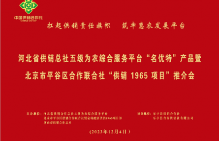 河北省供銷社五級(jí)平臺(tái)：譜寫京冀供銷興農(nóng)之路新篇章