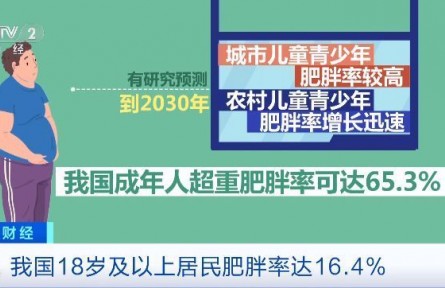 “不吃主食”“光靠運動”是減肥誤區(qū)！