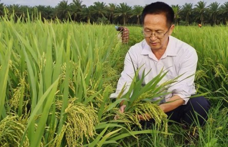 楊華德：因?yàn)樽约毫苓^雨，所以也想為別人撐傘