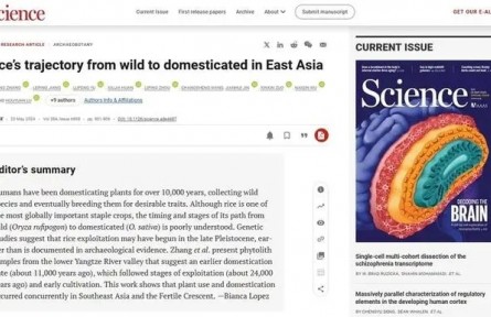 《科學(xué)》雜志發(fā)表上山文化重要研究成果 進(jìn)一步確認(rèn)我國(guó)是世界水稻起源地