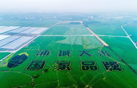 福建浦城：科技賦能，大米產(chǎn)業(yè)邁進數(shù)字化時代