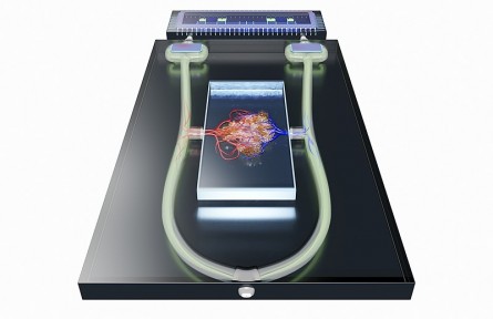 科技名詞|介電電泳 dielectrophoresis；DEP