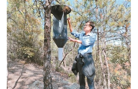 樊建庭：用科技筑牢重大林業(yè)有害生物防線