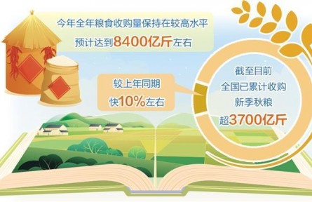 全年糧食收購預計達8400億斤左右——做好糧食流通大文章