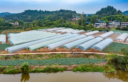 結對蹲點 與榜樣同行|何波：干群一致，沒有辦不好的事