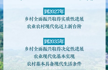 中共中央、國務(wù)院印發(fā)《鄉(xiāng)村全面振興規(guī)劃（2024—2027年）》新華社快報